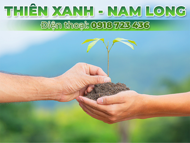 CÔNG TY TRÁCH NHIỆM HỮU HẠN MỘT THÀNH VIÊN THƯƠNG MẠI DỊCH VỤ THIÊN XANH - NAM LONG