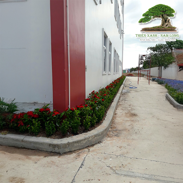 Bảo dưỡng cây xanh